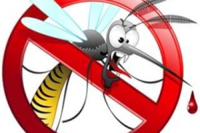 disinfestazione-estiva-300x300